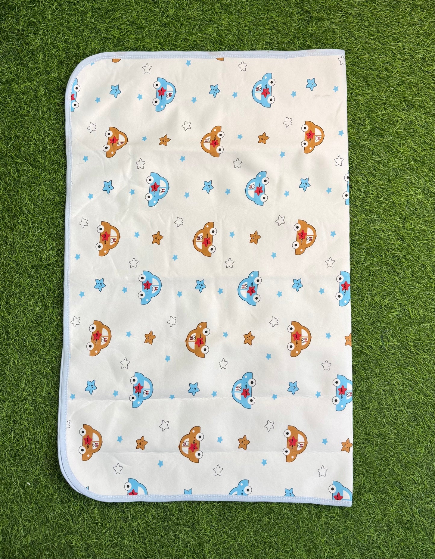 Dry Sheet Imported Large