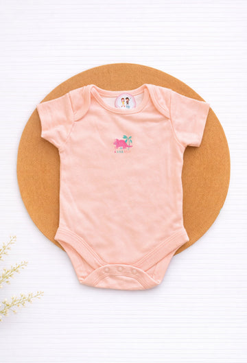 Onesies- Dino A-Roar-able