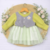 Imported Frock for Girls