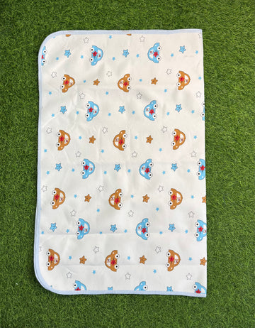 Dry Sheet Imported Large